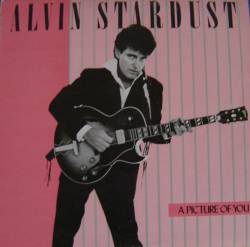 Alvin Stardust : A Picture of You